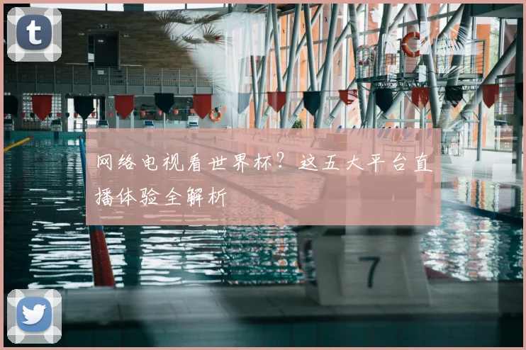 网络电视看世界杯？这五大平台直播体验全解析