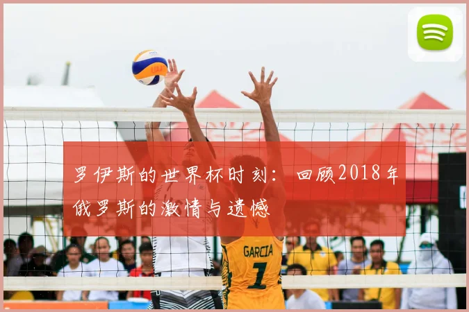 罗伊斯的世界杯时刻：回顾2018年俄罗斯的激情与遗憾