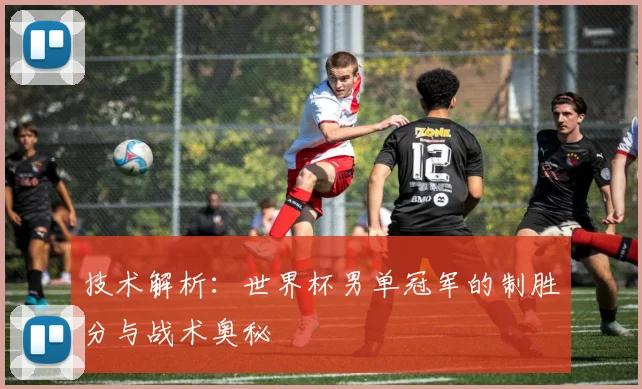 技术解析：世界杯男单冠军的制胜分与战术奥秘