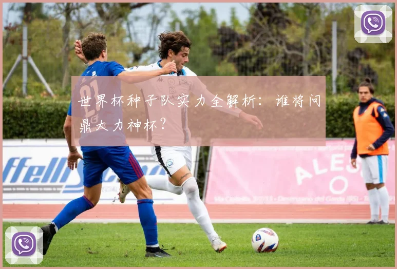 世界杯种子队实力全解析：谁将问鼎大力神杯？