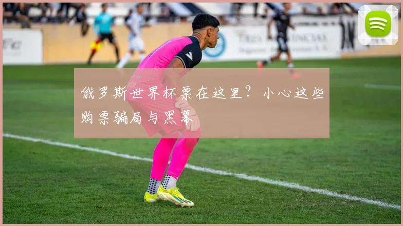 俄罗斯世界杯票在这里？小心这些购票骗局与黑幕